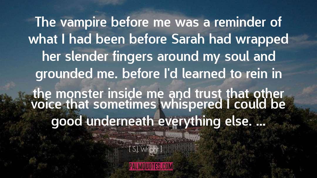 Winged Vampire quotes by S.J. Wright