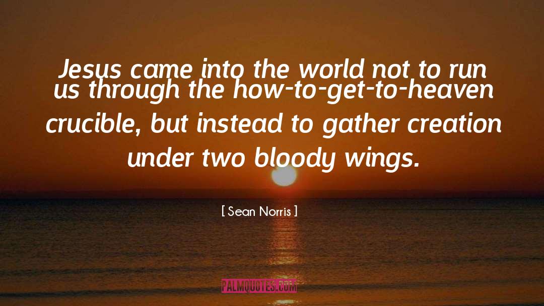 Wingnut Wings quotes by Sean Norris