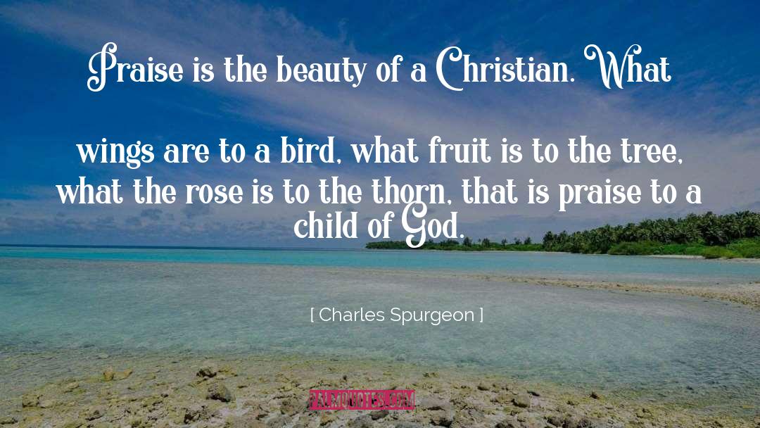 Wings Acknoledgements quotes by Charles Spurgeon