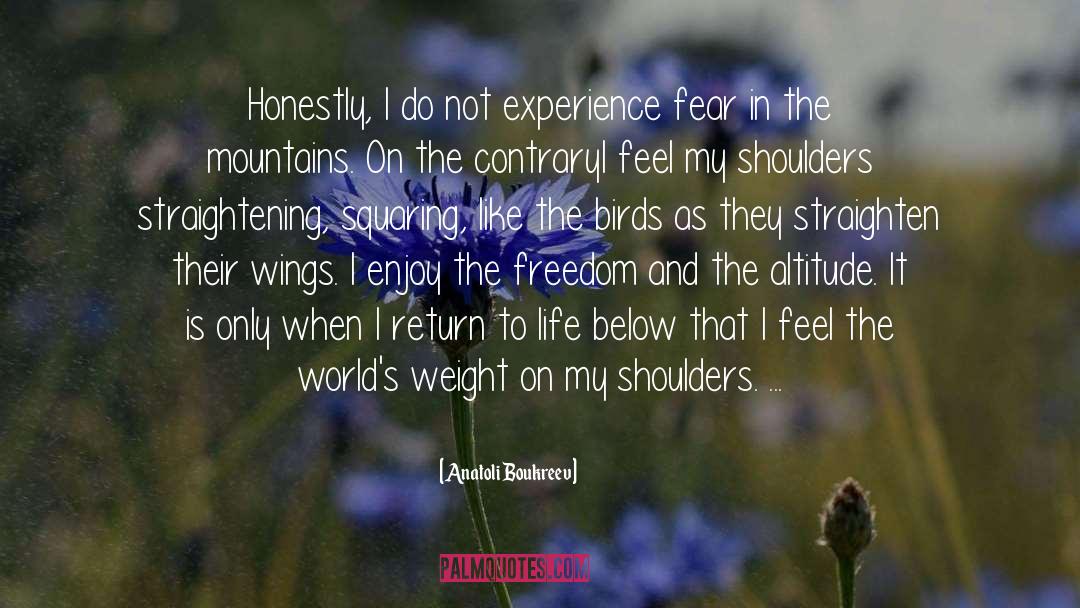 Wings Crtani quotes by Anatoli Boukreev