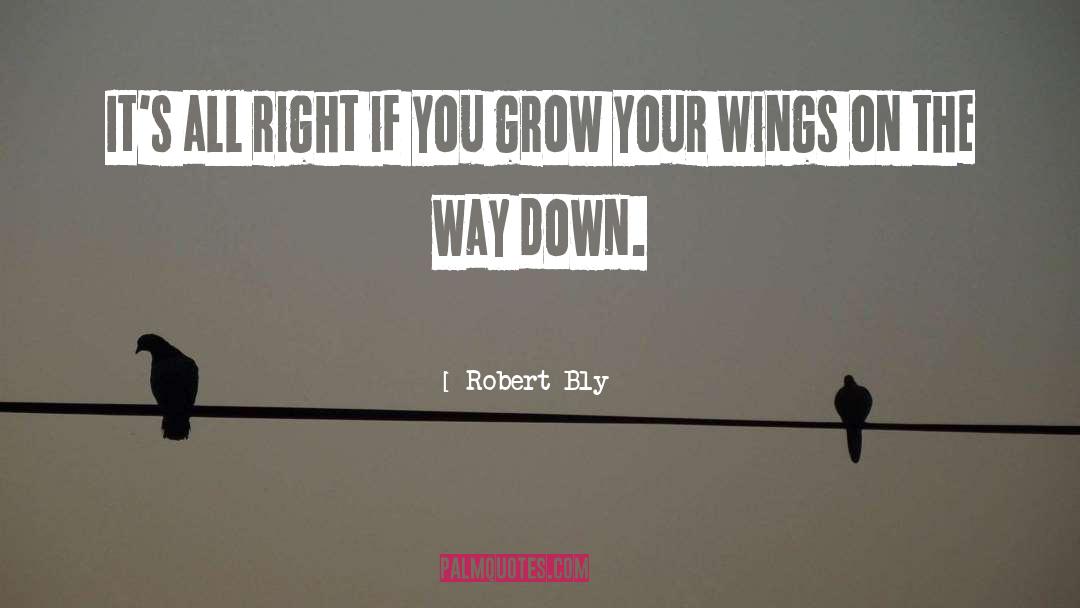 Wings Crtani quotes by Robert Bly