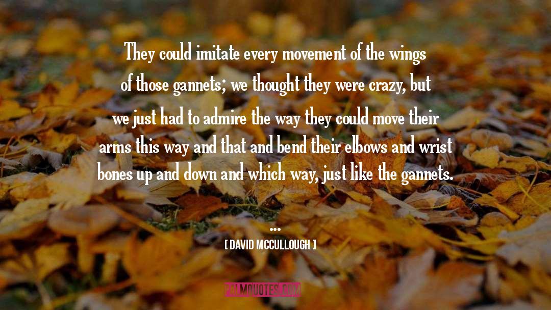 Wings Crtani quotes by David McCullough