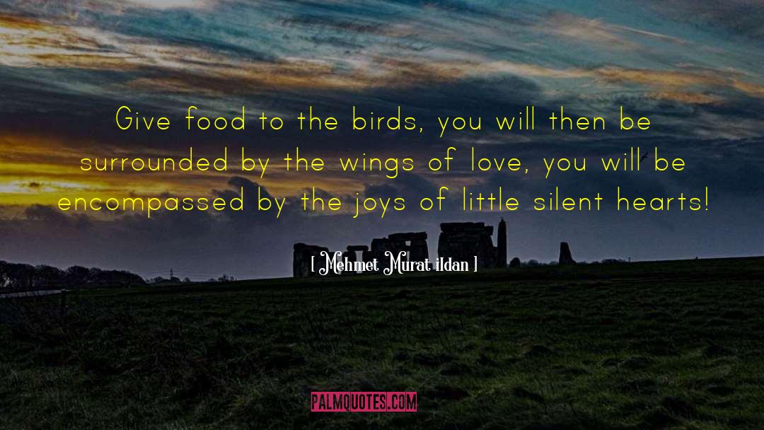 Wings Of Love quotes by Mehmet Murat Ildan