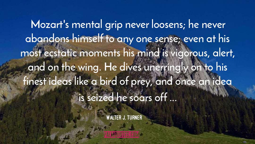 Wings Of The Wicked quotes by Walter J. Turner