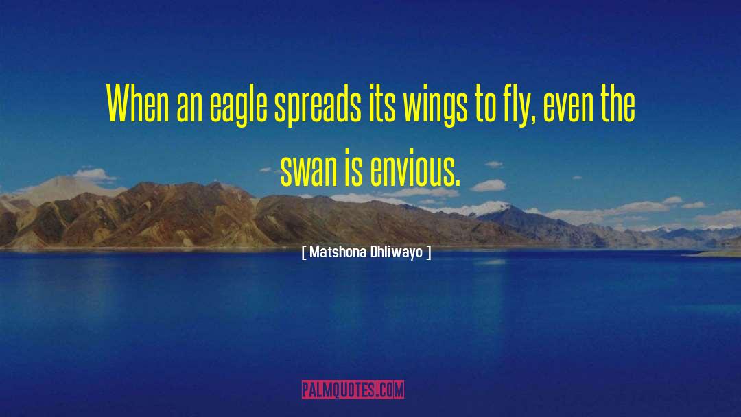 Wings To Fly quotes by Matshona Dhliwayo