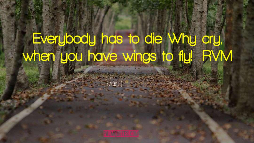 Wings To Fly quotes by R.v.m.