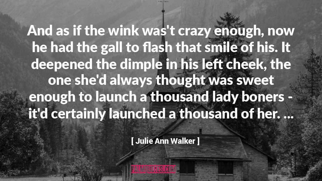 Wink quotes by Julie Ann Walker