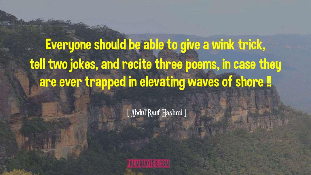 Wink quotes by Abdul'Rauf Hashmi