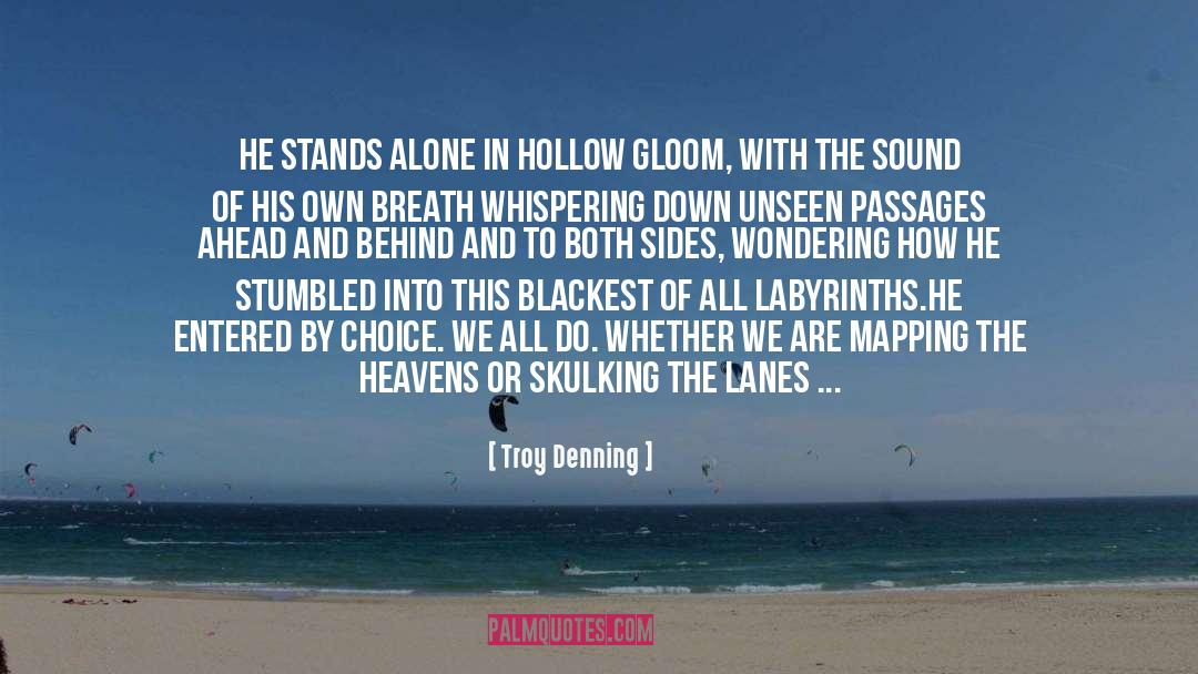 Winner Stands Alone quotes by Troy Denning