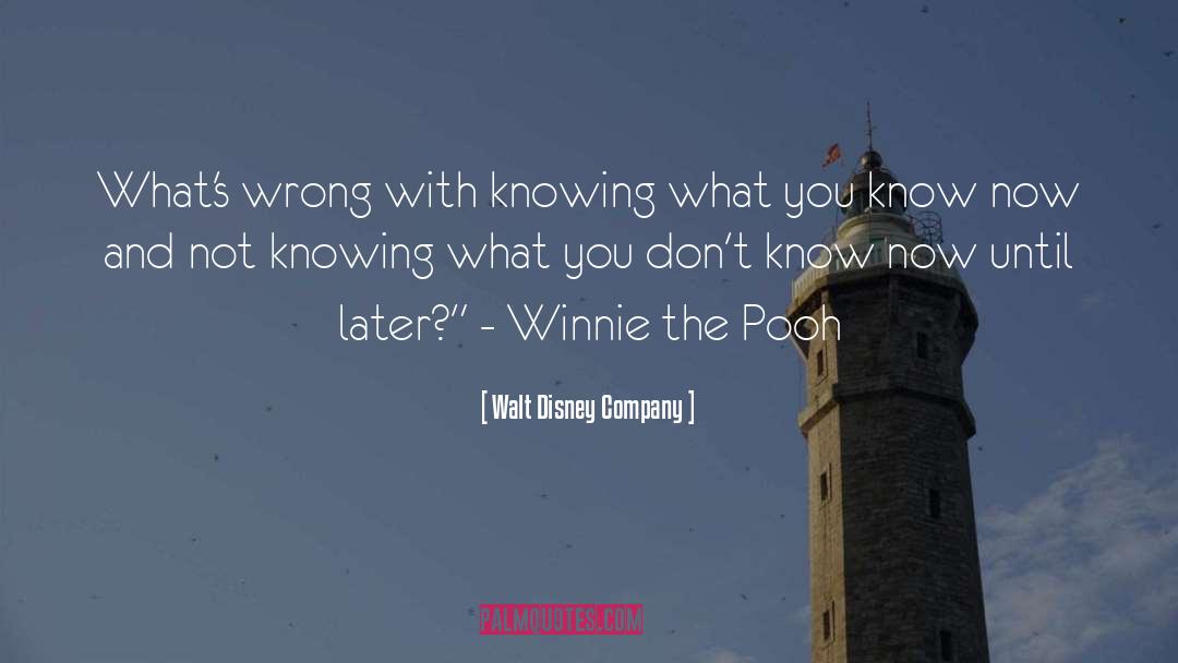 Winnie Pooh Bear Love quotes by Walt Disney Company