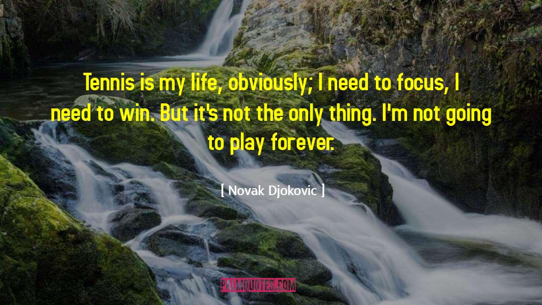 Winning Elections quotes by Novak Djokovic