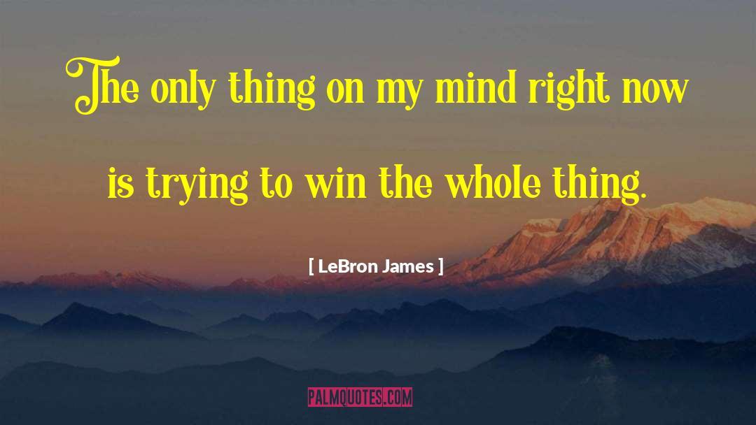 Winning Mind quotes by LeBron James