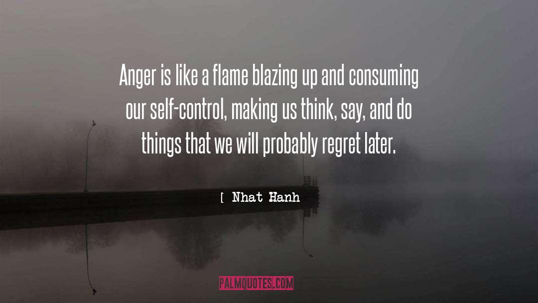 Winning Self Control quotes by Nhat Hanh