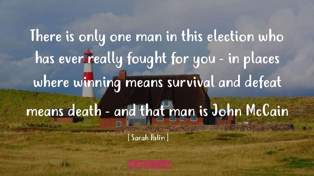 Winning Strategy quotes by Sarah Palin