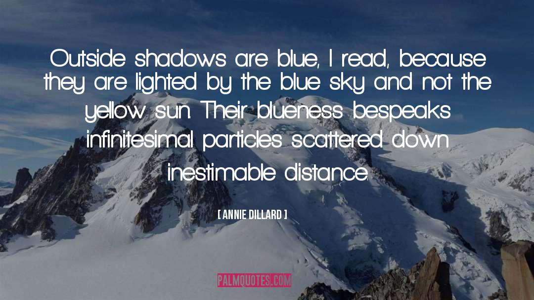 Winter Blue Sky quotes by Annie Dillard