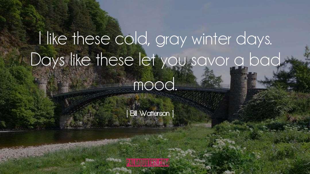 Winter Days quotes by Bill Watterson