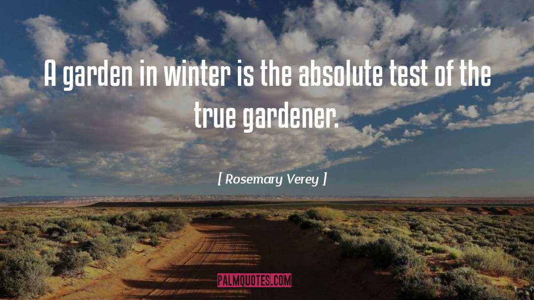 Winter Garden quotes by Rosemary Verey