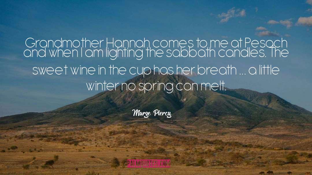 Winter Journal quotes by Marge Piercy