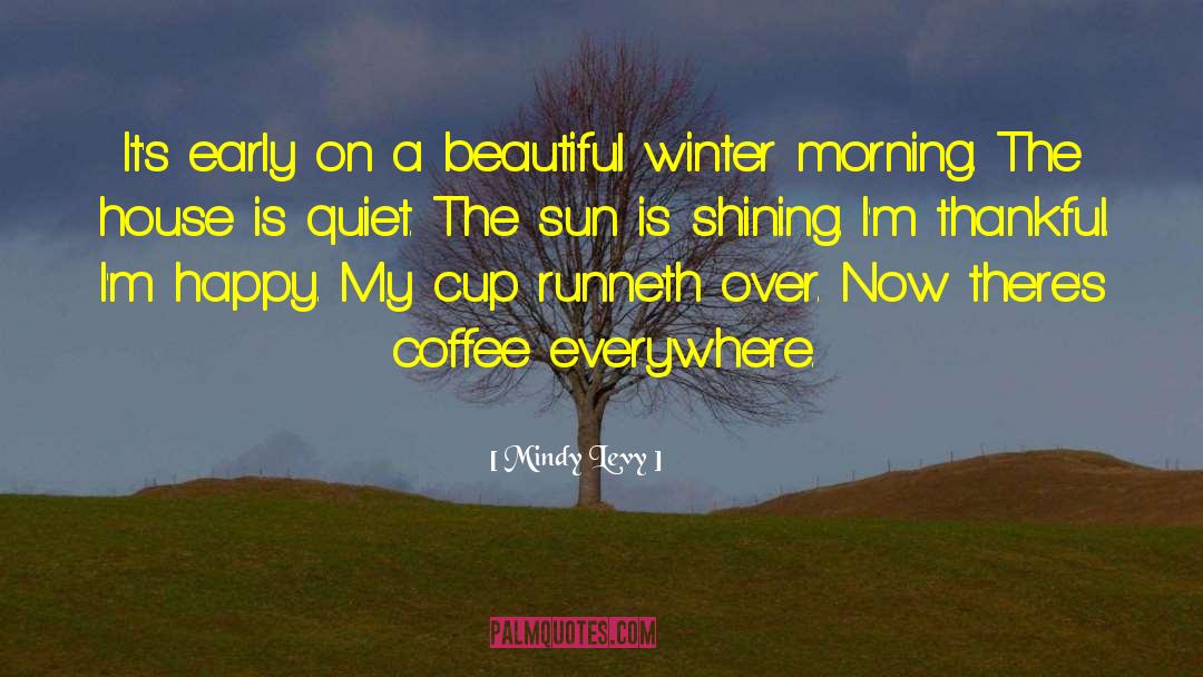 Winter Morning quotes by Mindy Levy