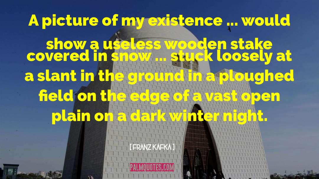 Winter Night quotes by Franz Kafka