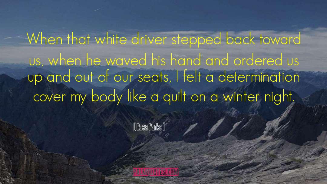 Winter Night quotes by Rosa Parks