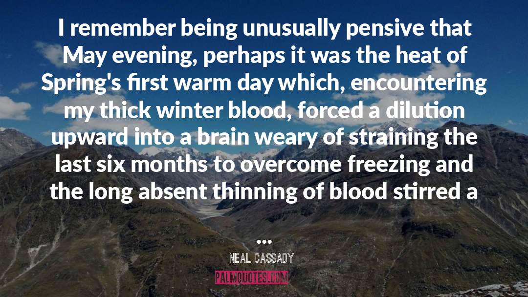 Winter quotes by Neal Cassady