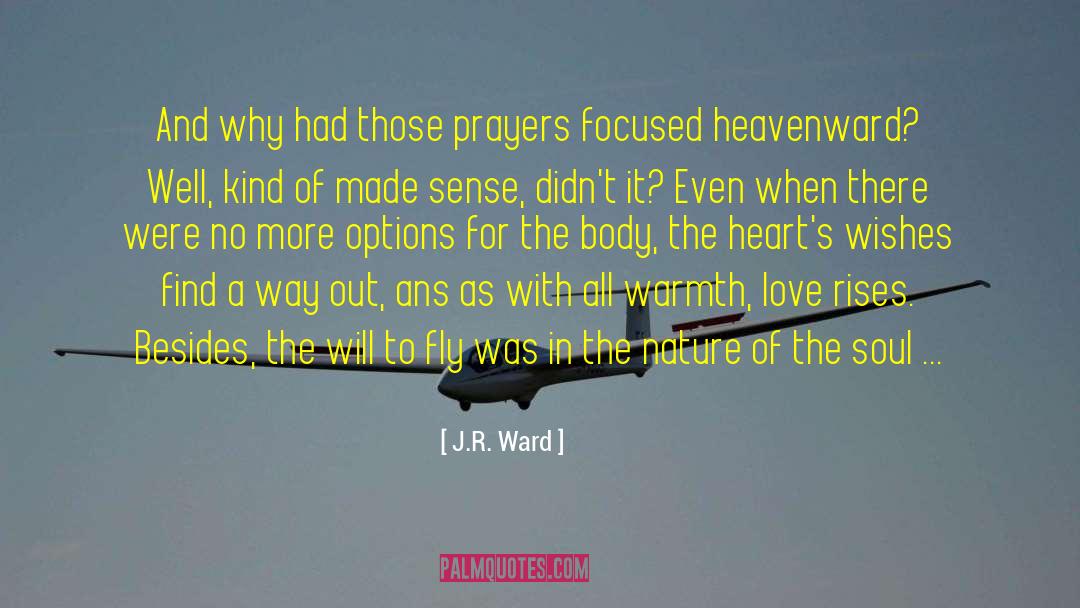 Winter Sky Aflame quotes by J.R. Ward