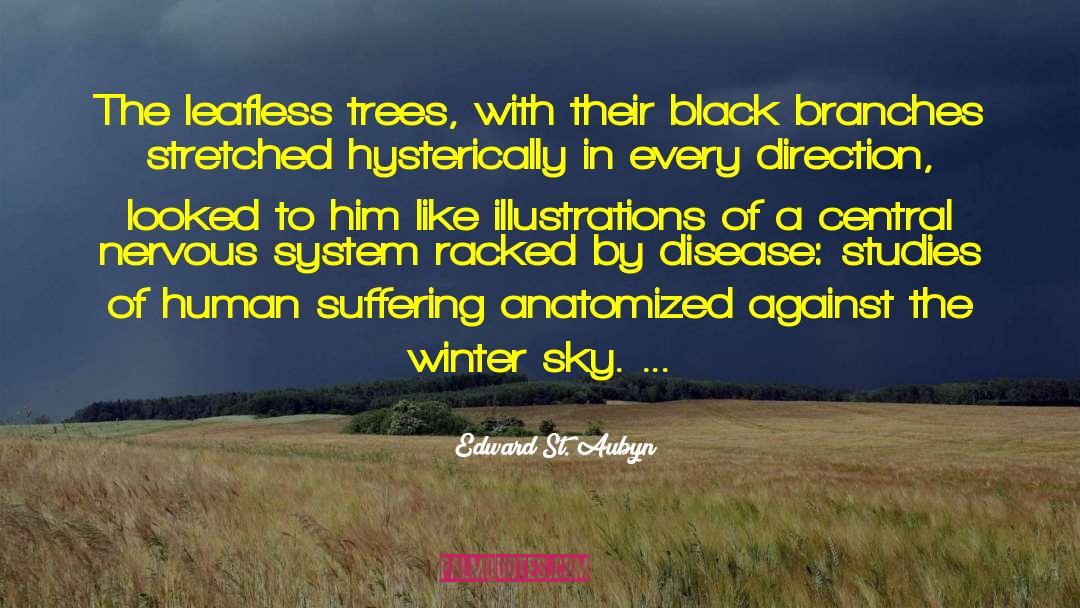 Winter Sky Aflame quotes by Edward St. Aubyn