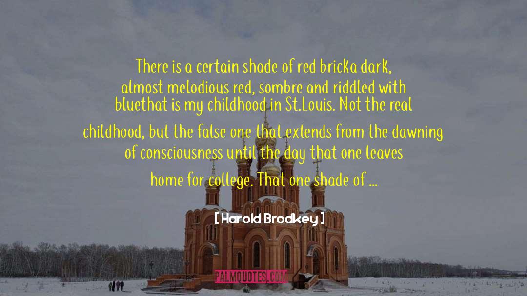 Winter Sky Aflame quotes by Harold Brodkey