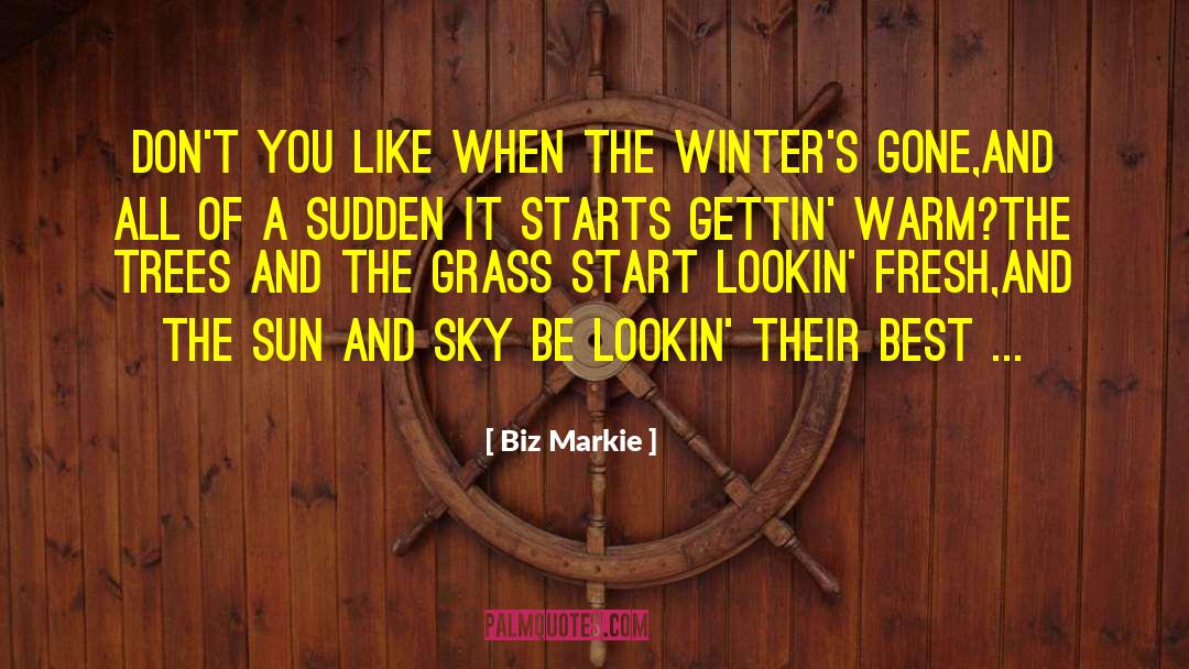 Winter Sky Aflame quotes by Biz Markie