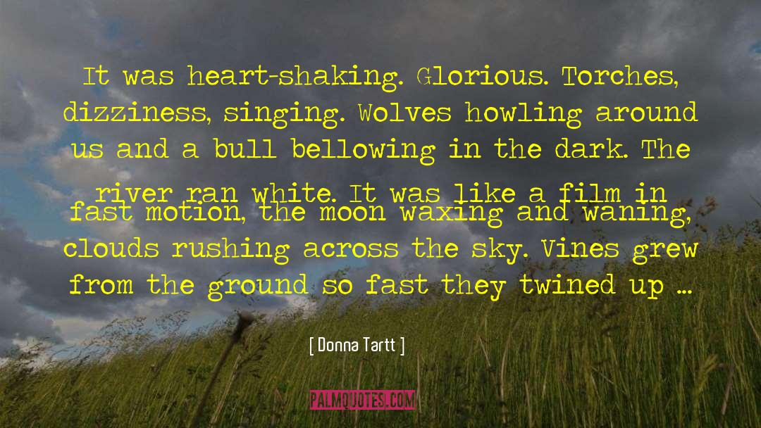 Winter Sky Aflame quotes by Donna Tartt