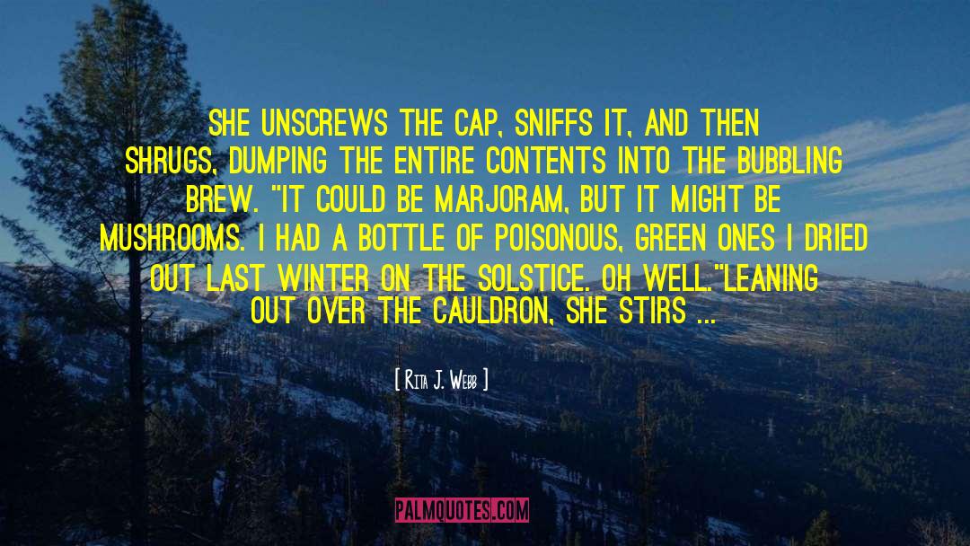 Winter Snow quotes by Rita J. Webb