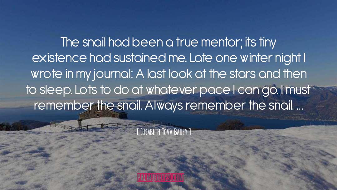 Winter Snow quotes by Elisabeth Tova Bailey