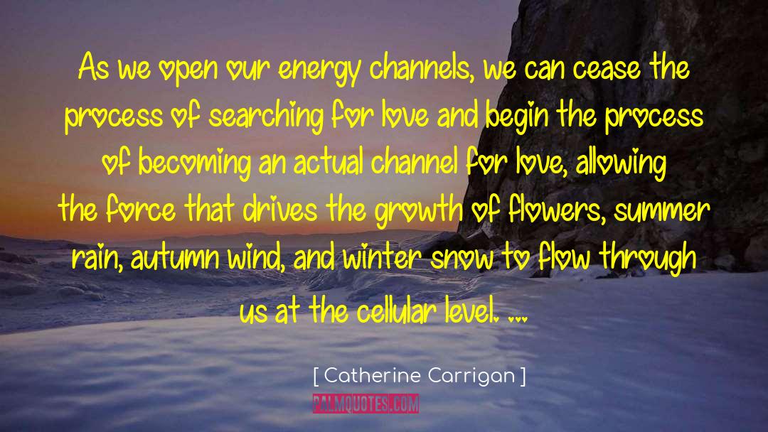 Winter Snow quotes by Catherine Carrigan