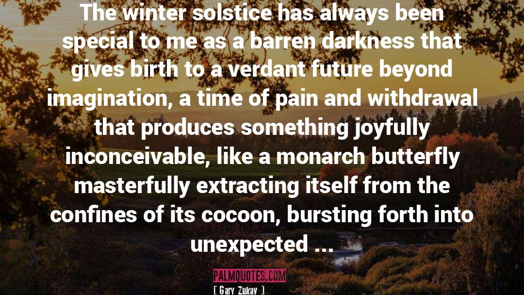 Winter Solstice quotes by Gary Zukav