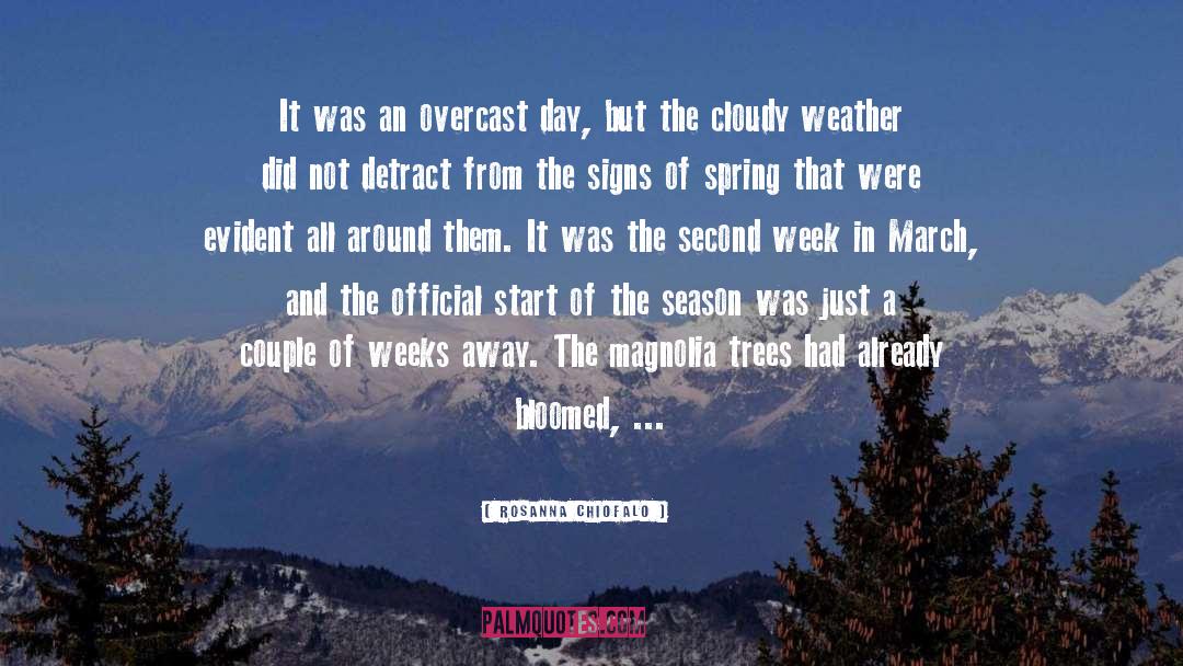 Winter Vs Spring quotes by Rosanna Chiofalo