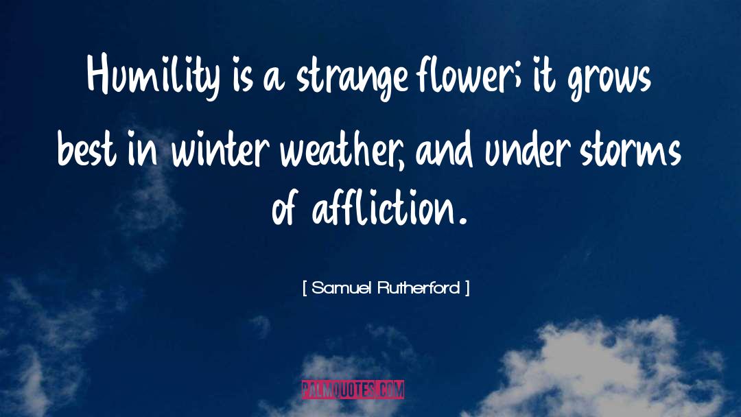 Winter Weather quotes by Samuel Rutherford