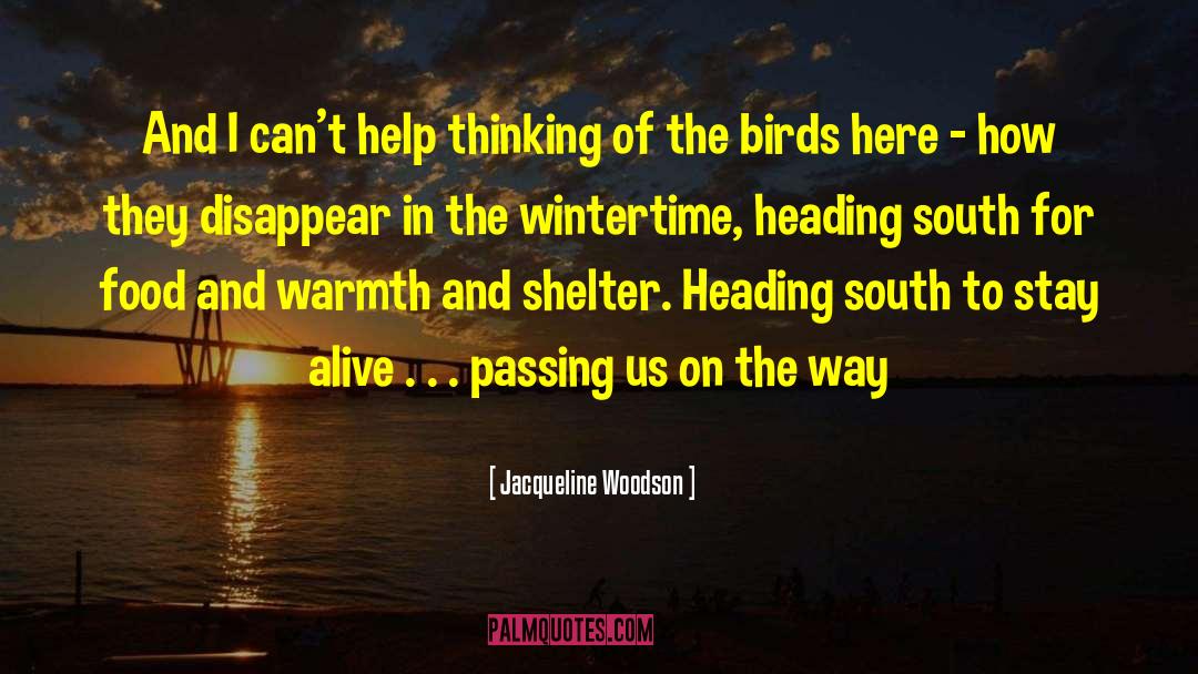 Wintertime quotes by Jacqueline Woodson