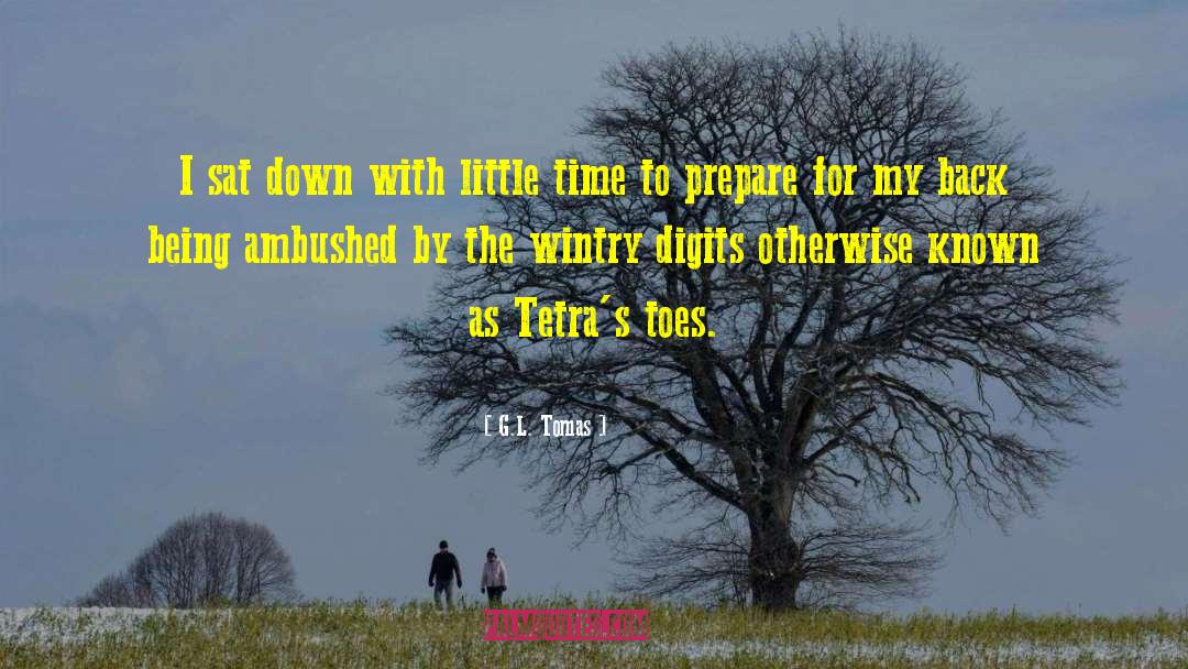 Wintry quotes by G.L. Tomas