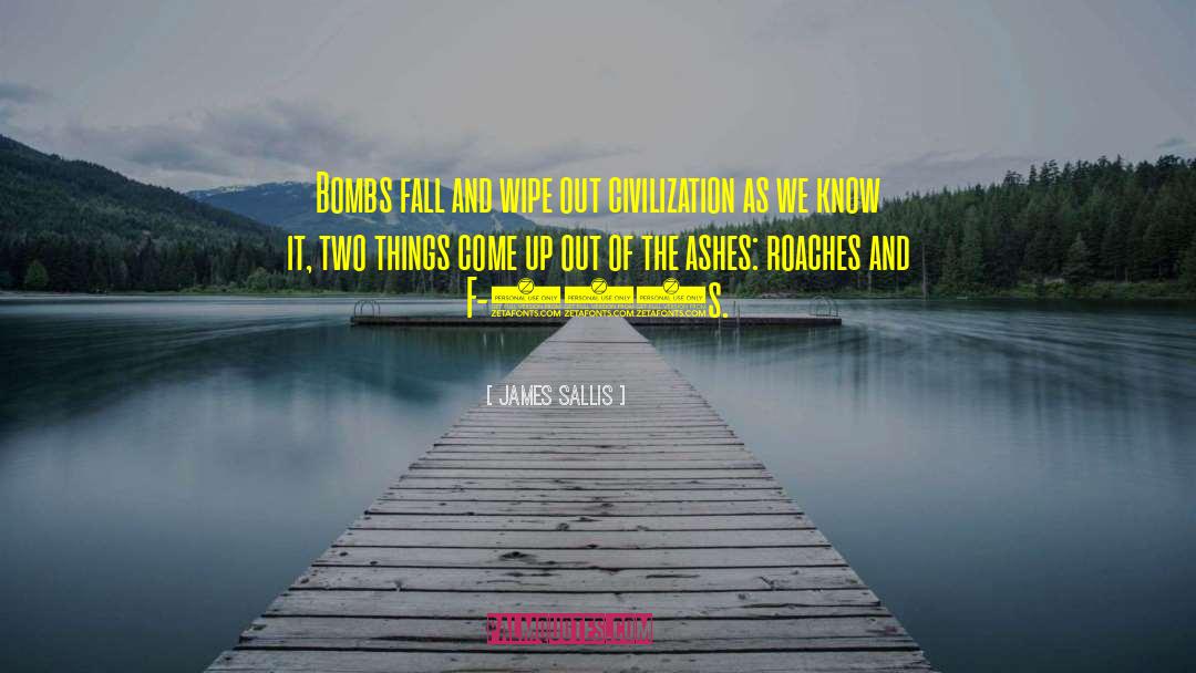 Wipe Out quotes by James Sallis