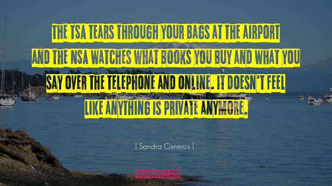 Wipe Your Tears quotes by Sandra Cisneros