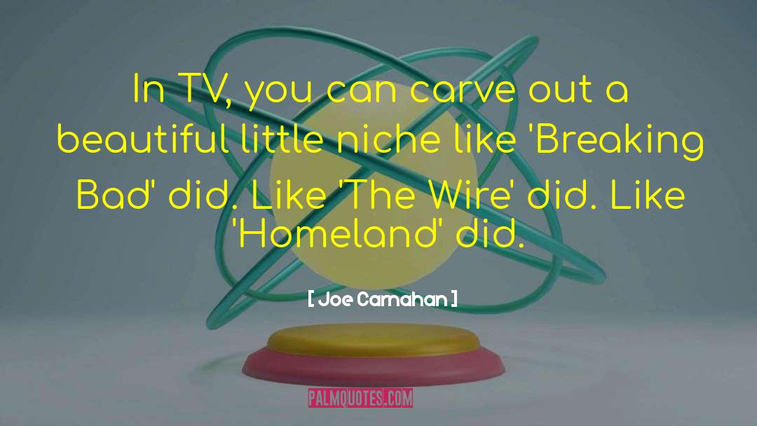 Wire Intro quotes by Joe Carnahan