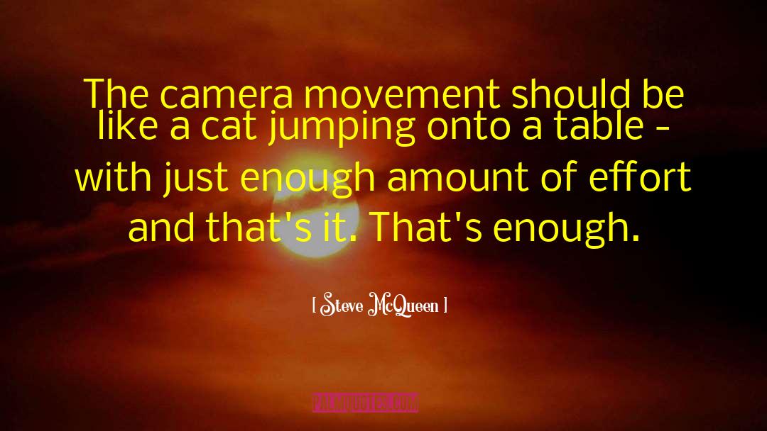 Wireless Cameras quotes by Steve McQueen