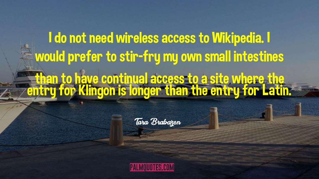 Wireless quotes by Tara Brabazon