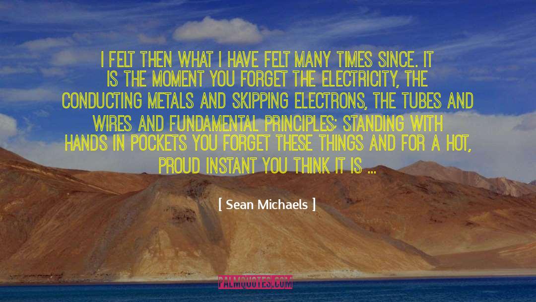 Wires quotes by Sean Michaels