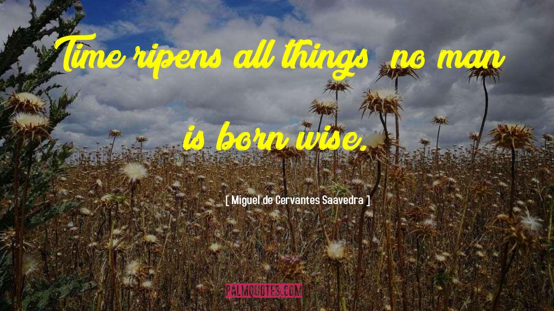 Wisdom Experience quotes by Miguel De Cervantes Saavedra