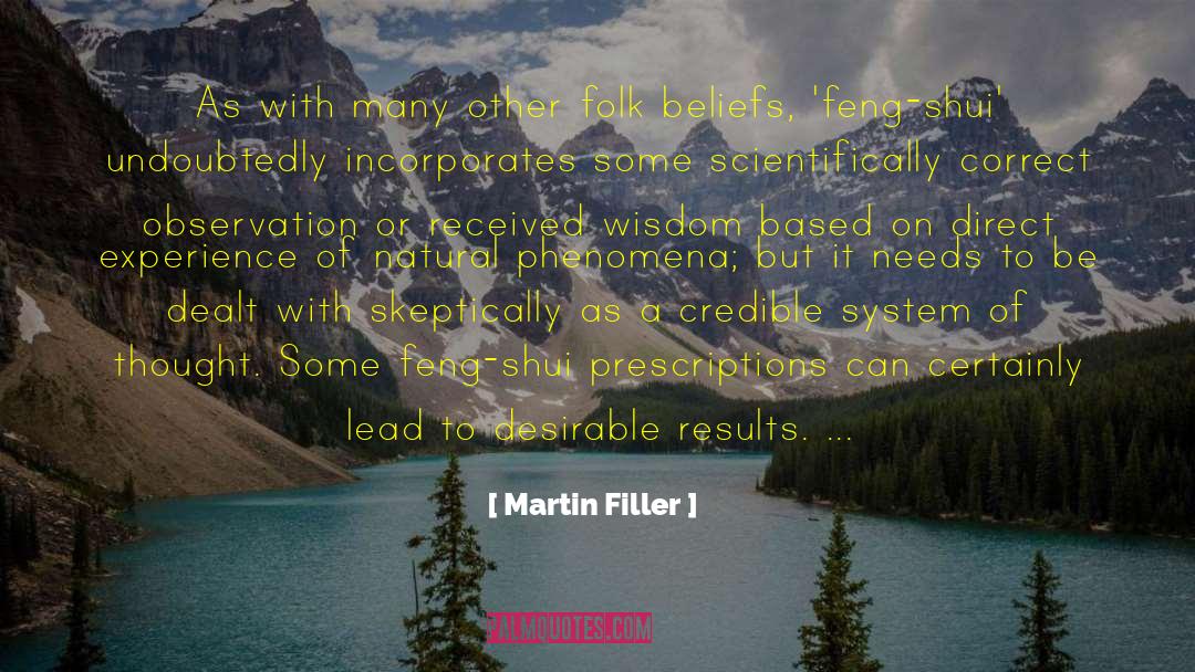 Wisdom Experience quotes by Martin Filler