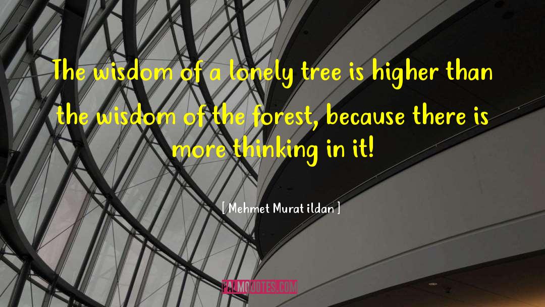 Wisdom Is Earned quotes by Mehmet Murat Ildan