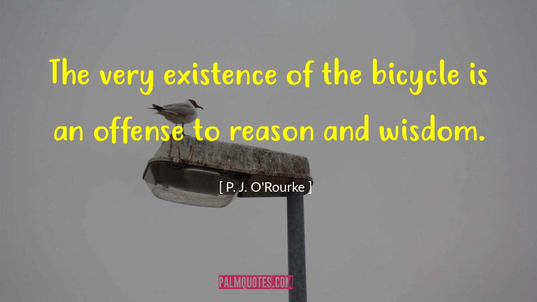 Wisdom Is Earned quotes by P. J. O'Rourke