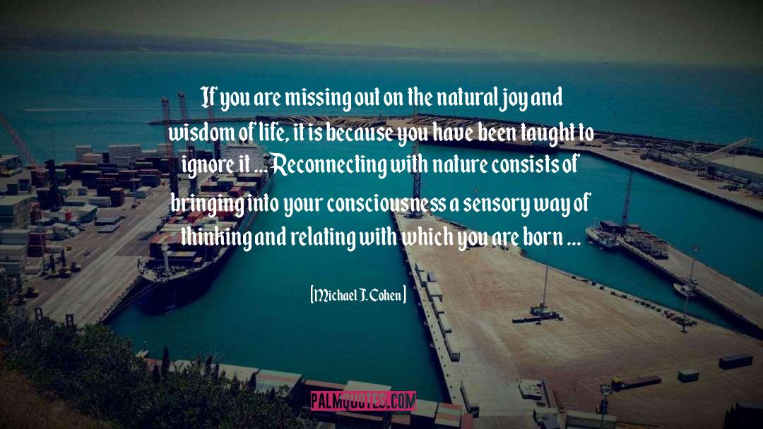 Wisdom Of Life quotes by Michael J. Cohen
